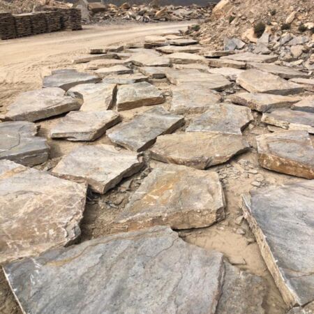 Paso Japonés Gneiss del sur