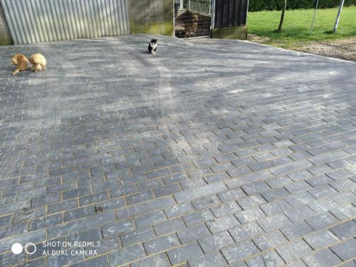 Adoquin-ebano-serrado-2