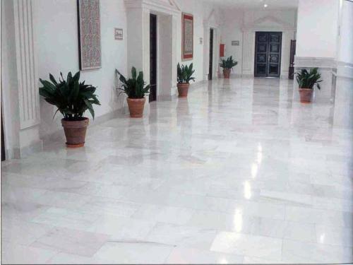 Marmol-Blanco-Polar-2