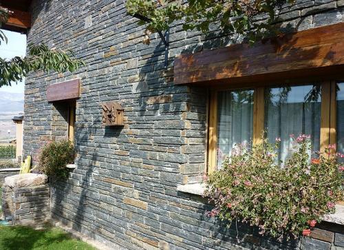 Taco-Xisto-Portugal-5 (1)